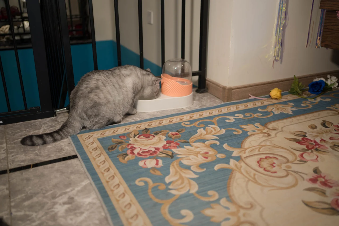 阿半今天很开心_No_038_赛马娘·大和赤骥_绯红的星落之夜_48P_983MB tg@simisebaisi 【丝足阁】028.webp